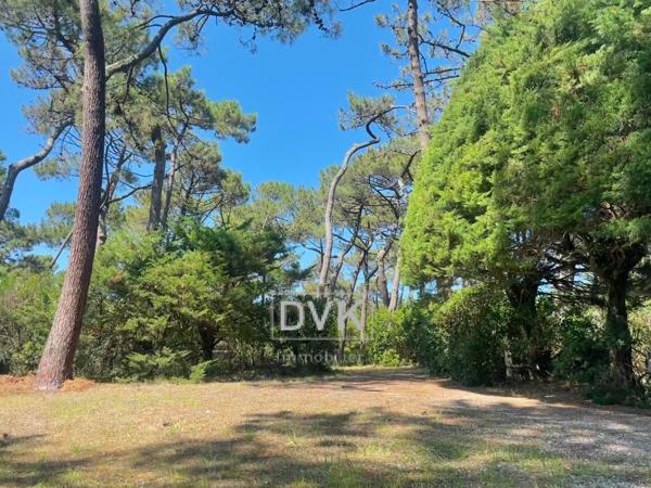 Cap ferret (33970) Terrain de 1477 m2 constructible sur le Cap Ferret