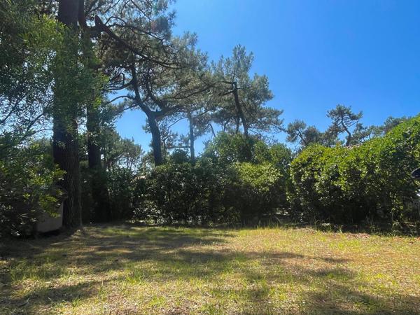 Cap ferret (33970) Terrain de 1477 m2 constructible sur le Cap Ferret