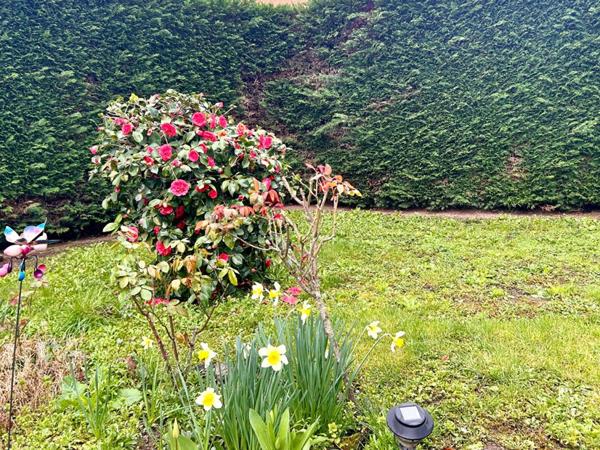 ROANNE ? Maison individuelle avec sous-sol complet sur terrain clos et arboré