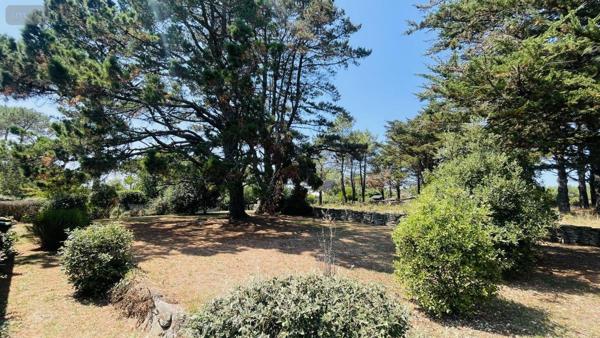 Maison à vendre à La Trinité-sur-Mer dans le Morbihan (56470), ref : 56041-852