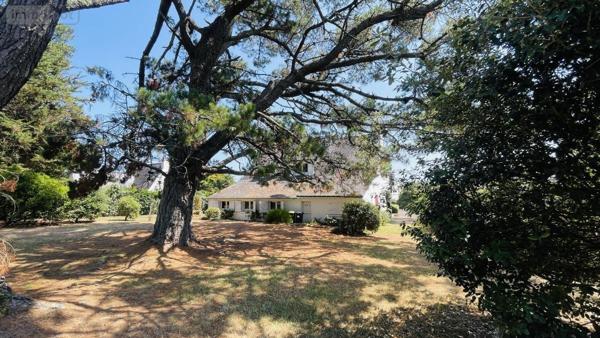 Maison à vendre à La Trinité-sur-Mer dans le Morbihan (56470), ref : 56041-852