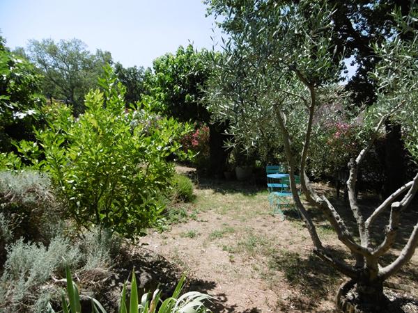 Maison Vidauban 4 pièce(s) +900 m² de terrain