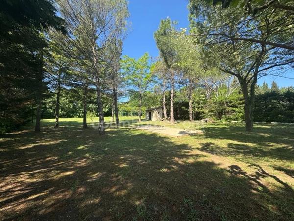 Mas à Saint Rémy de Provence avec vue Alpilles