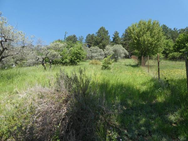 🏡 À VENDRE – Grande villa avec terrain boisé à Sisteron