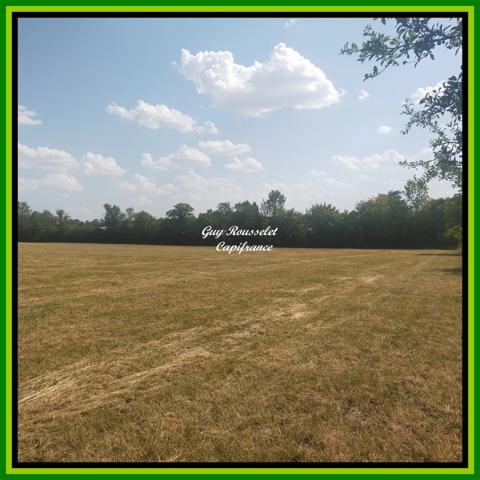 Terrain bâtissable à vendre de 3320 m2                SEMUR EN AUXOIS (21)