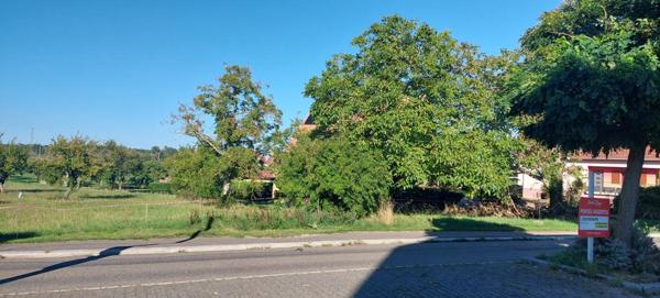 Beau terrain plat constructible de 6.15 ares