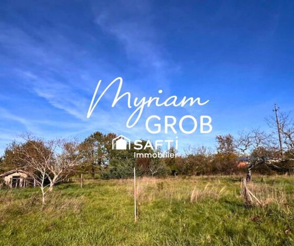 Rare à Montauban- Terrain constructible de 5100 m2