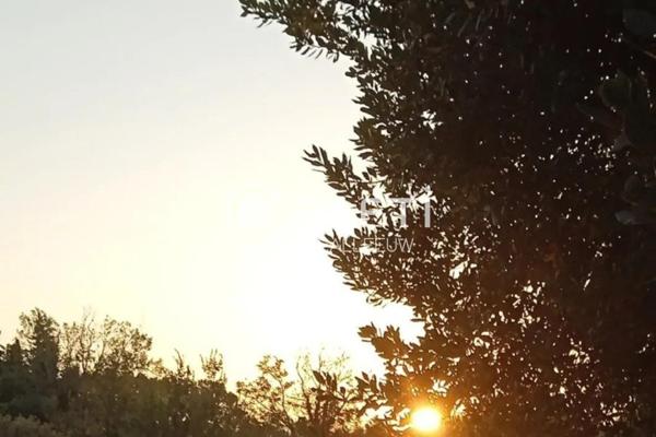 Maison ancienne aux murs épais, vue dégagée, jardin agréable, village accessible à pied, stationnement camping-car, garage, DPE E.