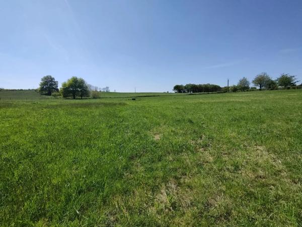 Terrains constructible à Nexon
