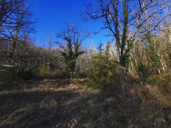 Terrain constructible - Gourdon TERRAIN CONSTRUCTIBLE CAZALS