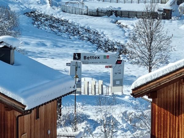 Chalet à vendre à Saint-Martin-de-Belleville (73440) - Savoie
