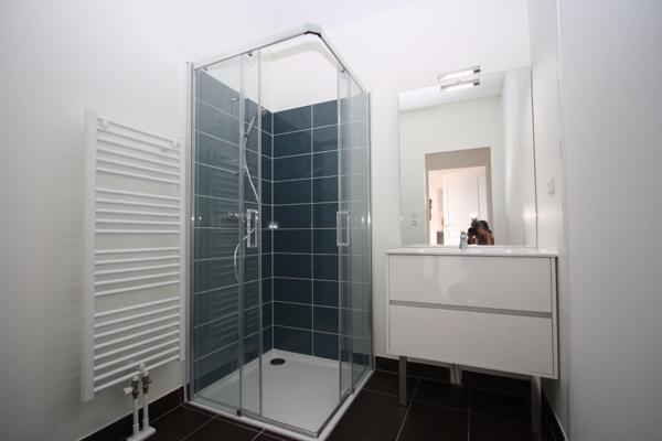 LOCATION : appartement F2 (40 m²) à FLEURY LES AUBRAIS