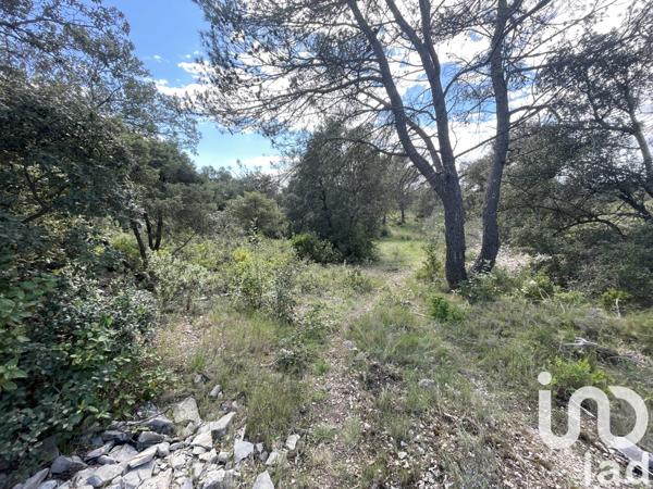 Terrain à vendre 8 985 m² Aigaliers
