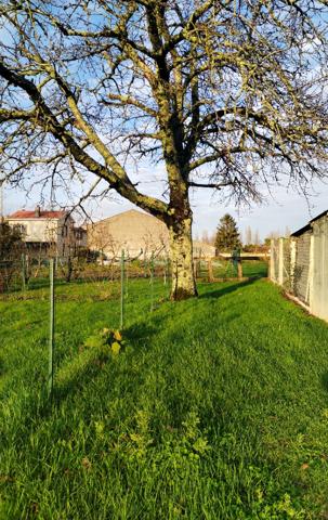 Proche Saintes - Maison charentaise avec jardin et dépendance