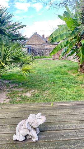 Centre ville de MAYENNE