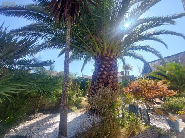 Maison à vendre à Belz dans le Morbihan (56550), ref : 56040-638