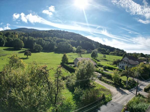 Maison individuelle, rare sur le secteur « Sur les Bois » - Annecy le Vieux .