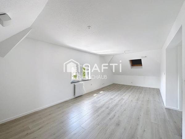 À vendre – Maison entièrement rénovée d'environ 217 m² à Hégenheim