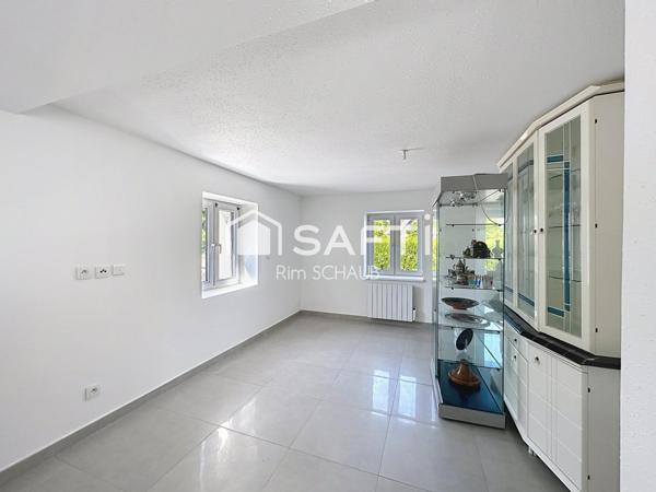 À vendre – Maison entièrement rénovée d'environ 217 m² à Hégenheim
