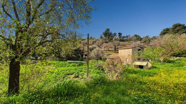 Maison  BANDOL T4  127 m²  avec garages et dépendances   595 000       690 000