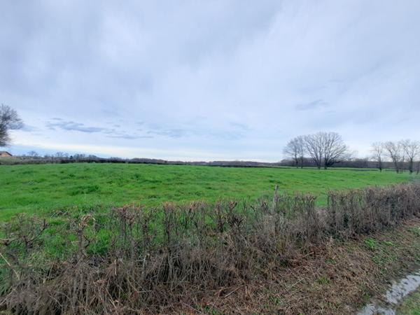 Grande parcelle hors lotissement, 8min Montrevel en Bresse