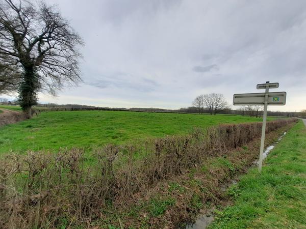 Grande parcelle hors lotissement, 8min Montrevel en Bresse
