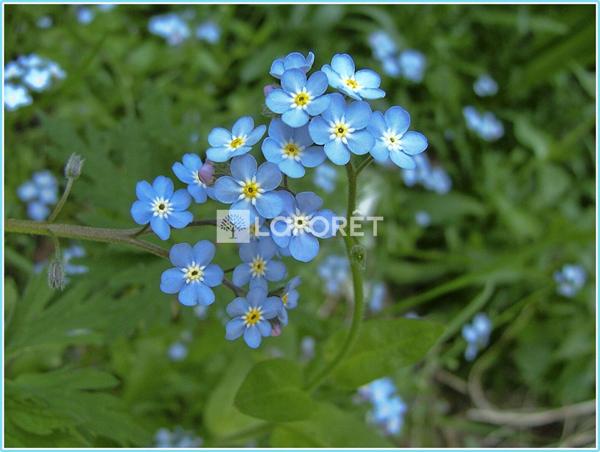 Achat terrain Plouha - 76 500 €