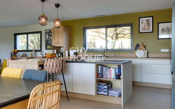 Villa Contemporaine Vue Pyrénées