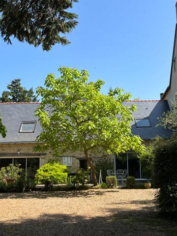 LES HAUTS D'ANJOU , Champigne