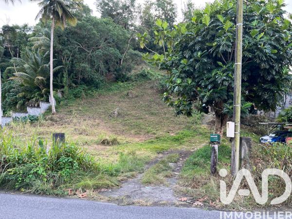 Terrain à vendre 2 479 m² Les Abymes