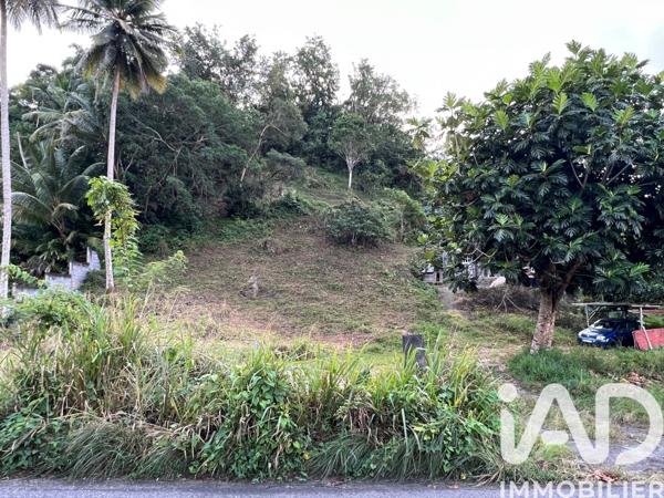 Terrain à vendre 2 479 m² Les Abymes