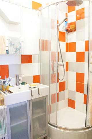 Location
                Appartement44,75 m² - 2 Pièces -
                    ORLEANS (45000)