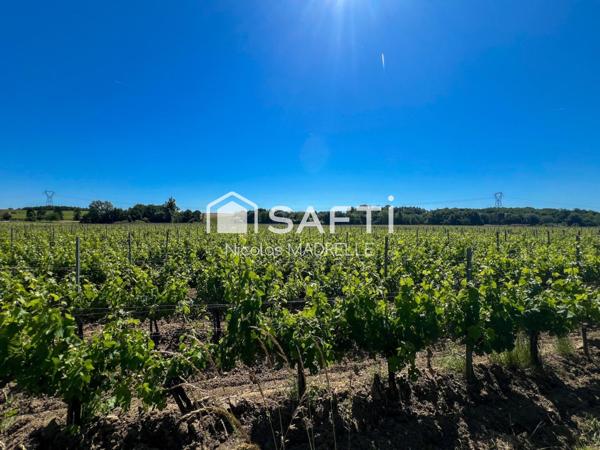 Élégance, terroir et patrimoine en appellation Côtes