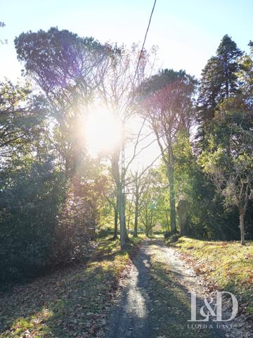 PROPRIÉTÉ AVEC ANNEXES SAINT-PÉE-SUR-NIVELLE