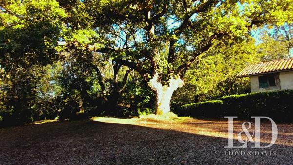 PROPRIÉTÉ AVEC ANNEXES SAINT-PÉE-SUR-NIVELLE