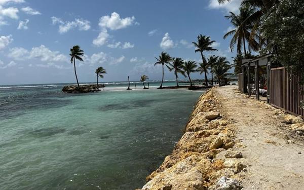 Appartement à vendre    2 pièces • 36 m2 Sainte-Anne