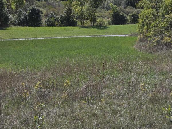 Puy-Saint-Eusèbe (05200) TERRAIN a bâtir d'environ 800 m² avec un aperçu Lac.