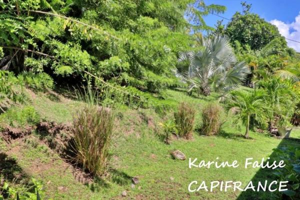 A vendre SAINTE LUCE (972) - Villa T4 avec piscine, bungalow et appartement T3 proche plage