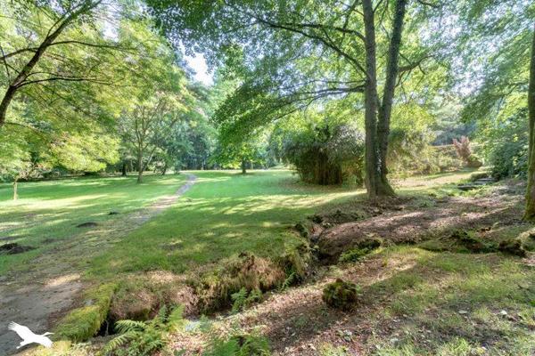 Maison à vendre 334 336 € Saint-Jouvent 7 p 250 m² DPE E