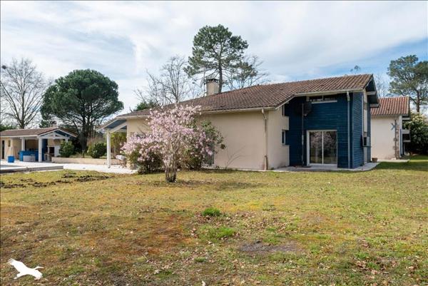 Maison à vendre |  Saint-Perdon |  6 pièces | 177 m²