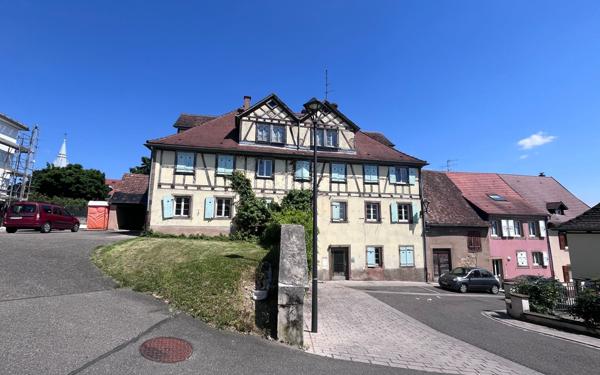 Immeuble à vendre    12 pièces • 400 m2 Hochfelden