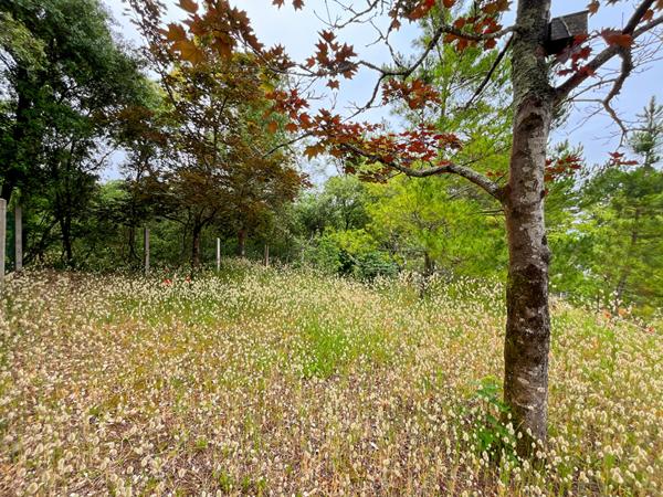 Terrain La Barre De Monts 379 m2
