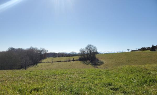 Terrain Marciac 9010 m2