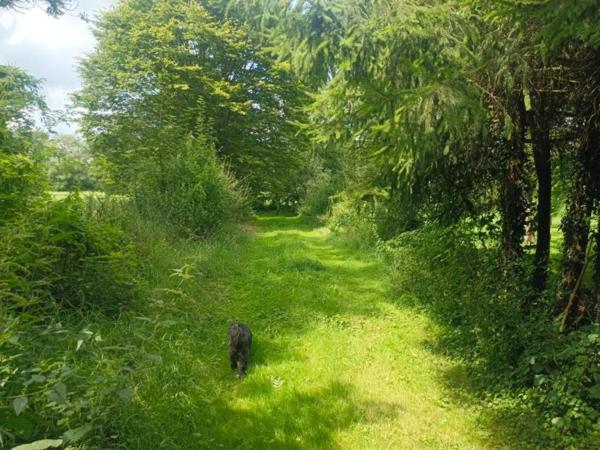 PLAIN-PIED à Varennes-en-Argonne