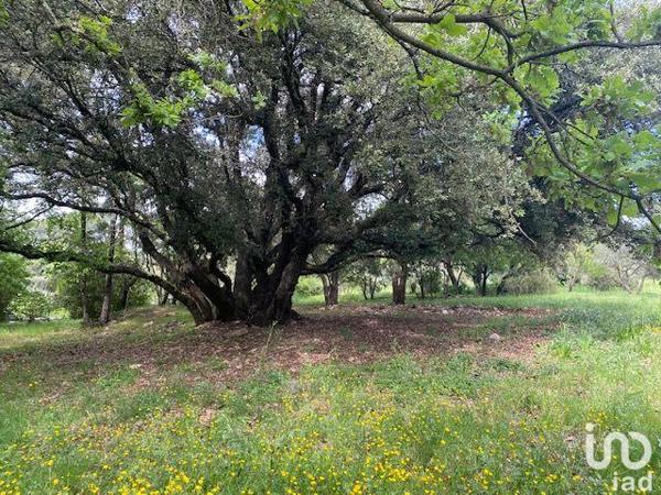 Maison à vendre 7 pièces 220 m² Lorgues