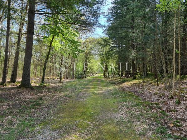 Elégant manoir dans un parc de 6 hectares en Sologne
