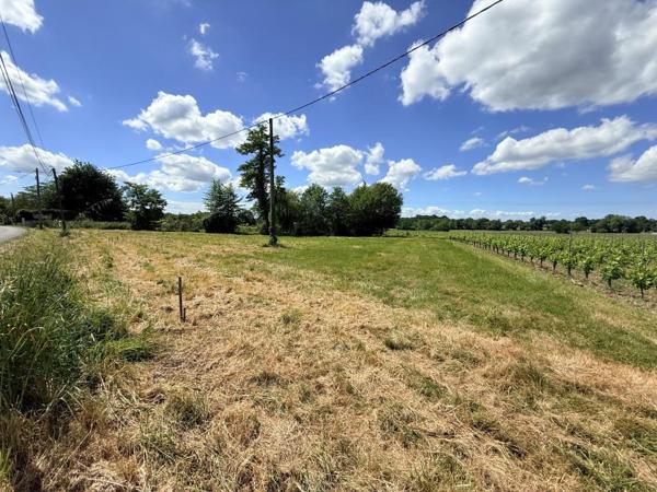 SAINT-SAVIN TERRAIN CONSTRUCTIBLE DE 1460 M² Saint-Savin (33920)