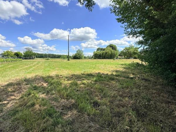 SAINT-SAVIN TERRAIN CONSTRUCTIBLE DE 1460 M² Saint-Savin (33920)