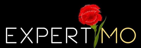 Avallon (89200) Immeuble de rapport avec 3 appartements en pierre apparentes situé rue du Bel Air à AVALLON 217 300 € F.A.I.