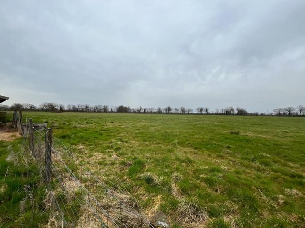 Terrain Moulins 45000 m2 avec bâtiment 700 m2